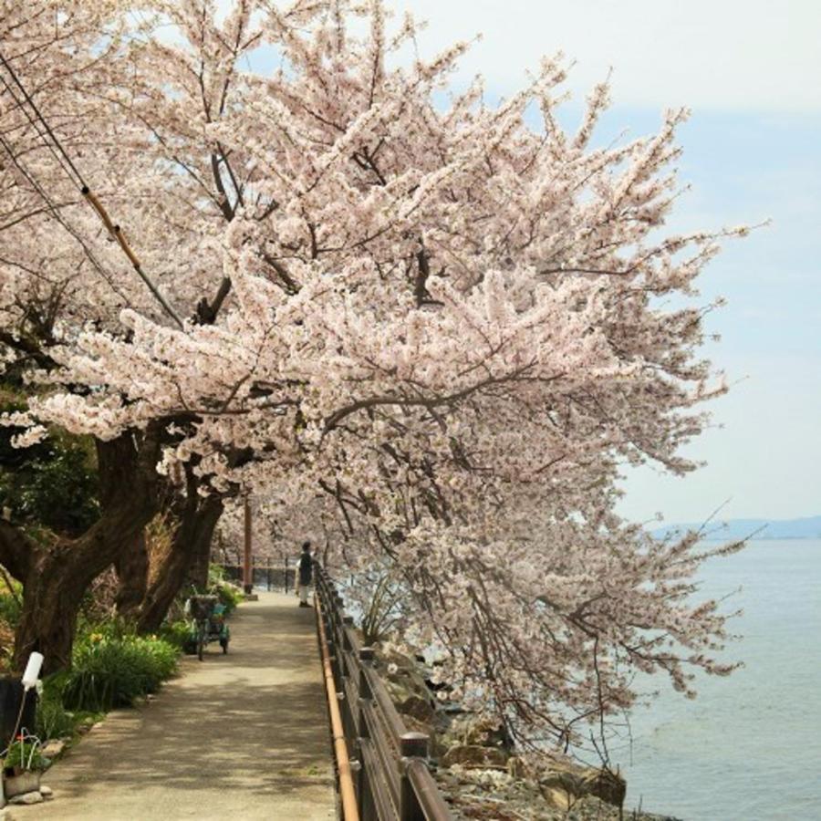 Kyukamura Ohmi-Hachiman Омихатиман Экстерьер фото