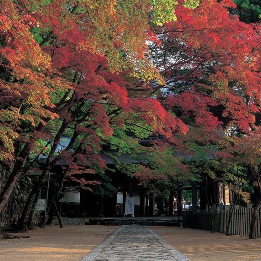 Kyukamura Ohmi-Hachiman Омихатиман Экстерьер фото